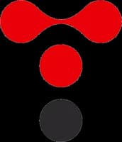 Logo Techim Group