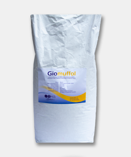 Giomuffol - Gesso Naturale per Basi e Occlusori di Classe II